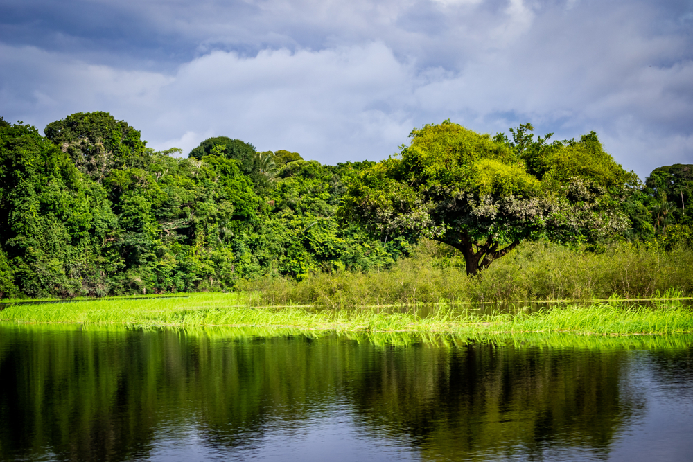 Anavilhanas National Park