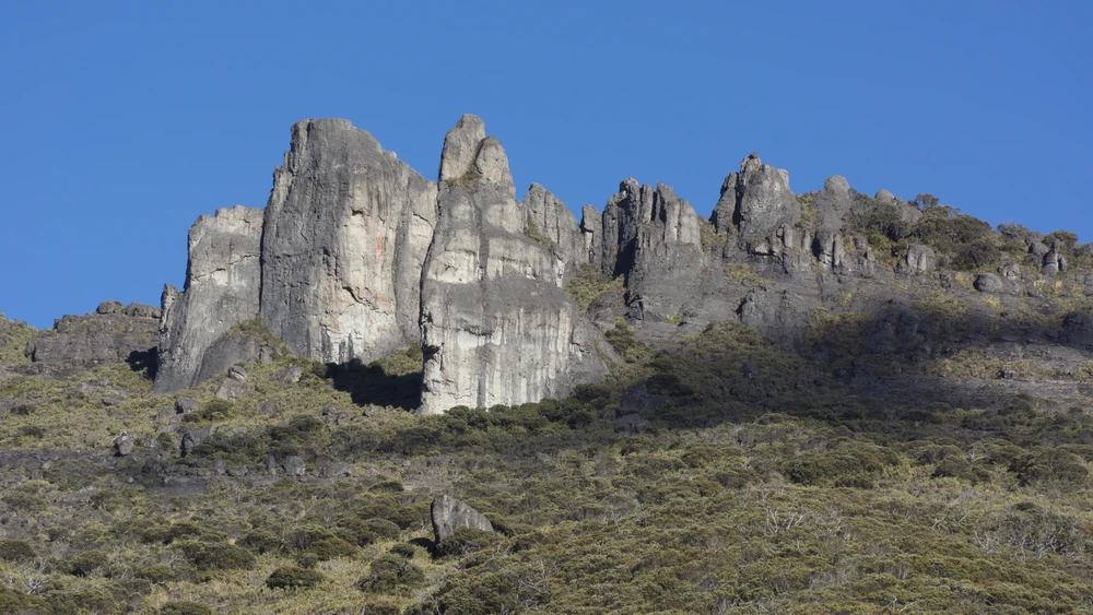 Chirripo National Park