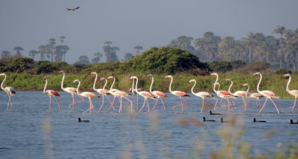 Horowpathana National Park