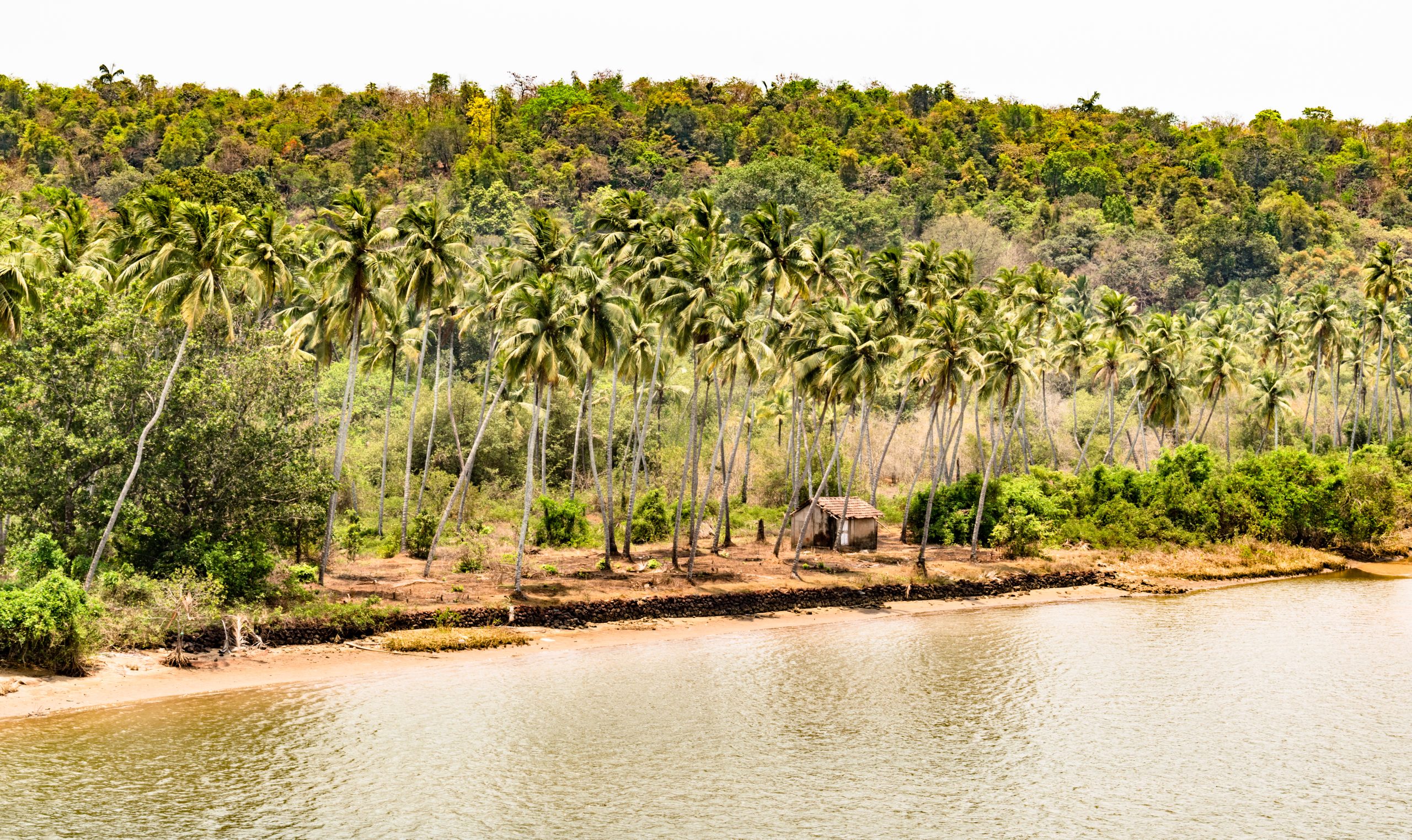 Flood Plains National Park