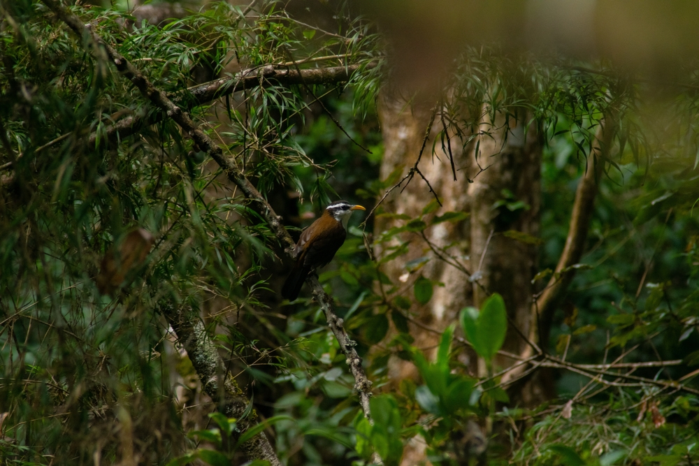 Hikkaduwa National Park