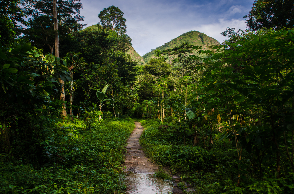 Ghana National Parks