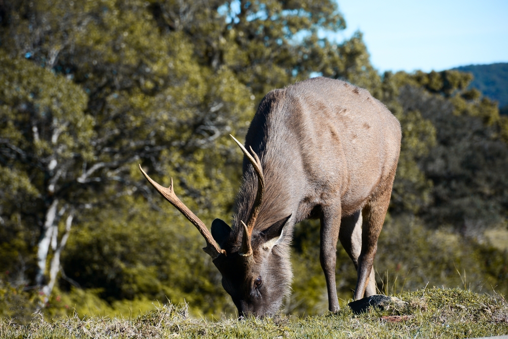 Kumana National Park