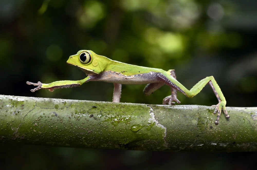 Peru National Parks