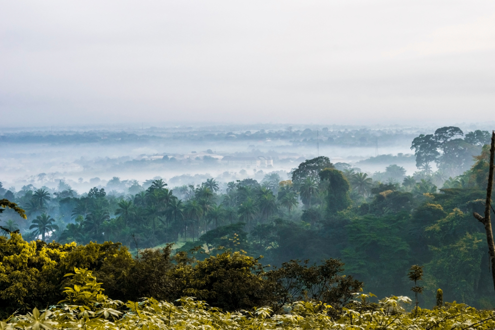 Nigeria National Parks