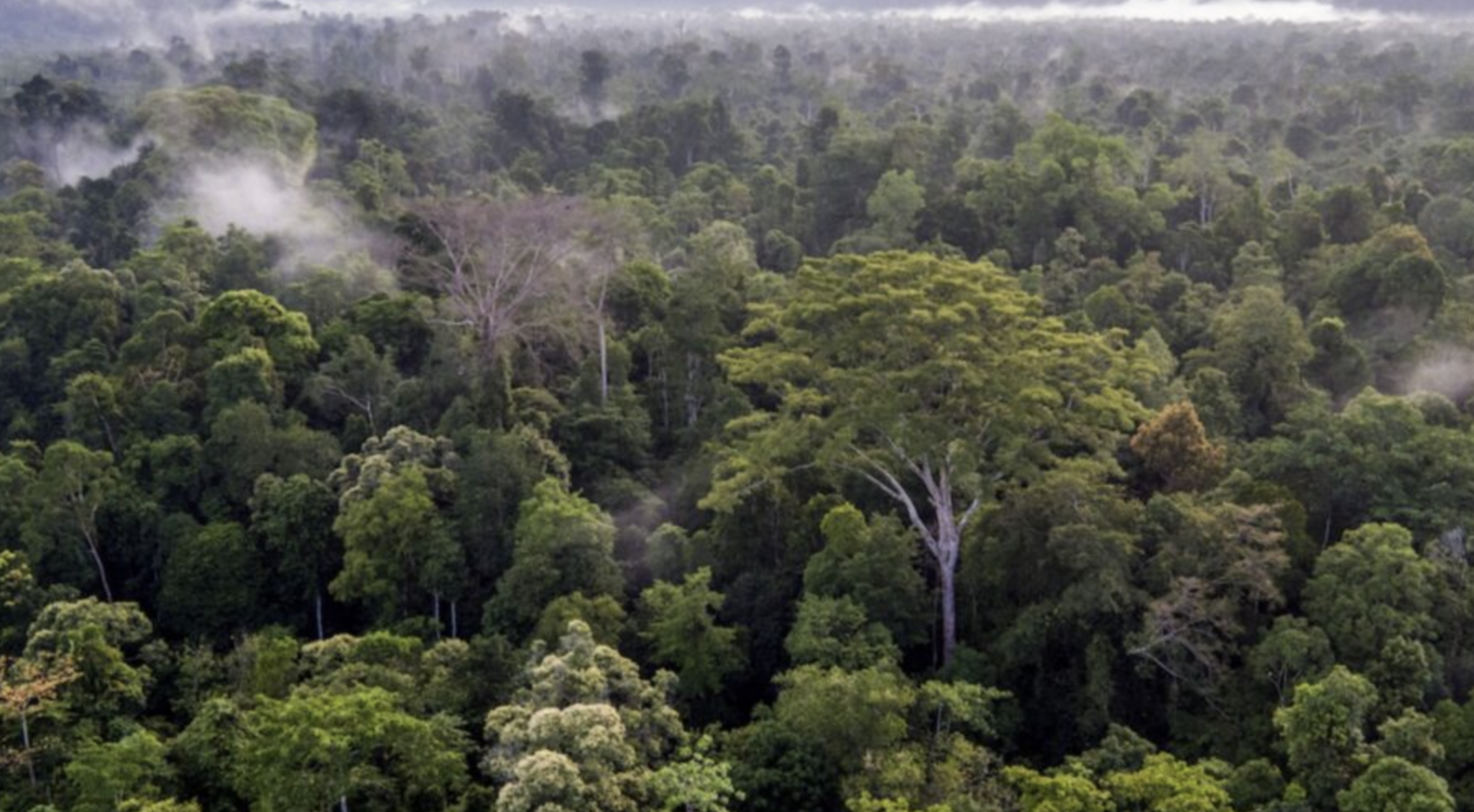 Andre Felix National Park