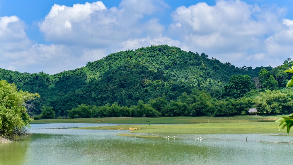 Bến En National Park