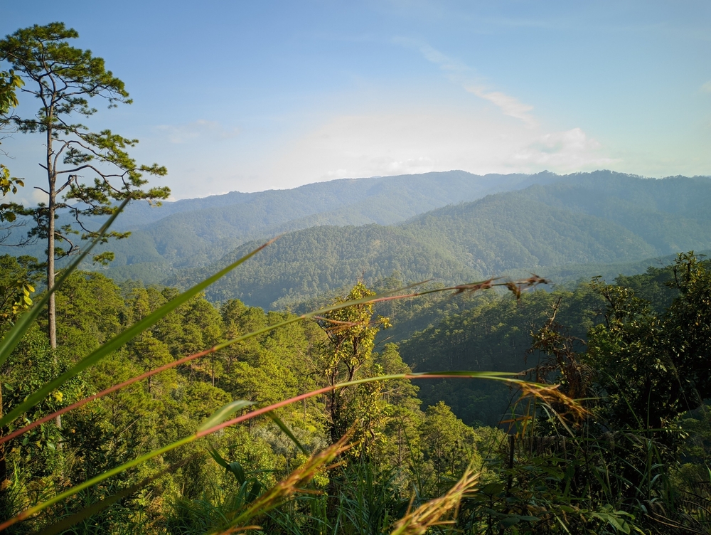 Bidoup Núi Bà National Park