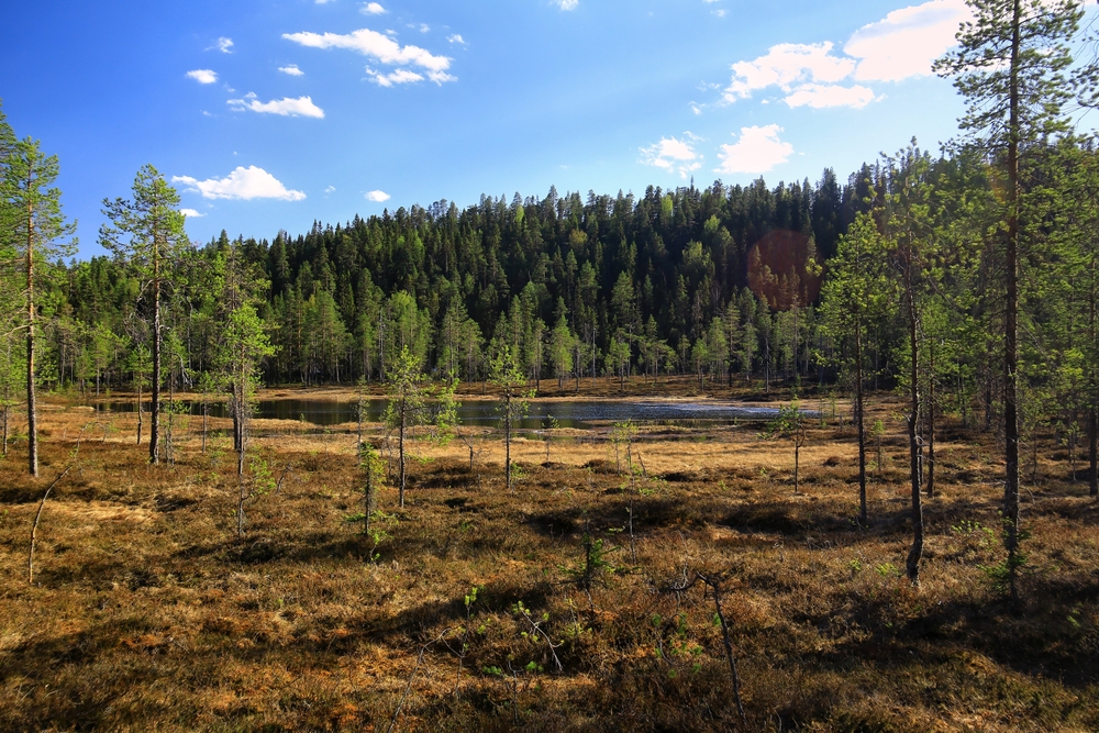 Bjornlandet National Park