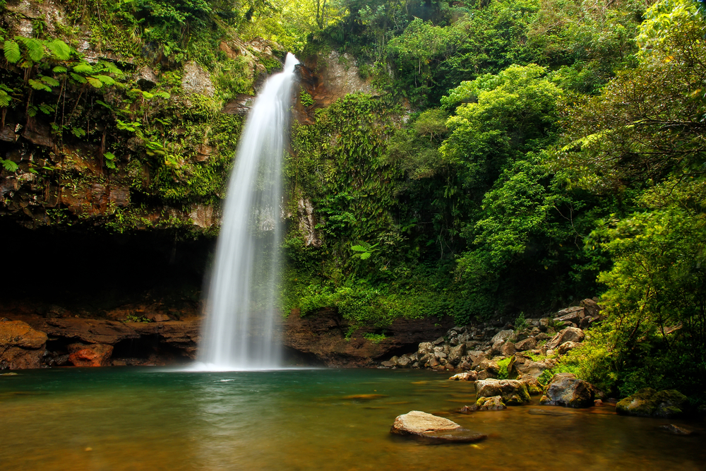 Bouma National Park