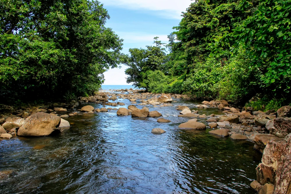 Fiji National Parks