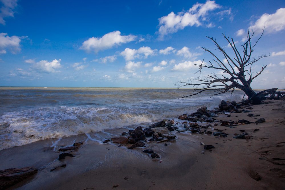 Bruit National Park