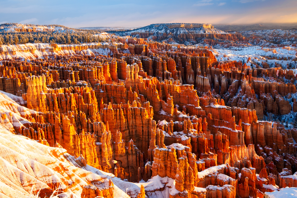 Bryce Canyon National Park hoodoos on the hillside