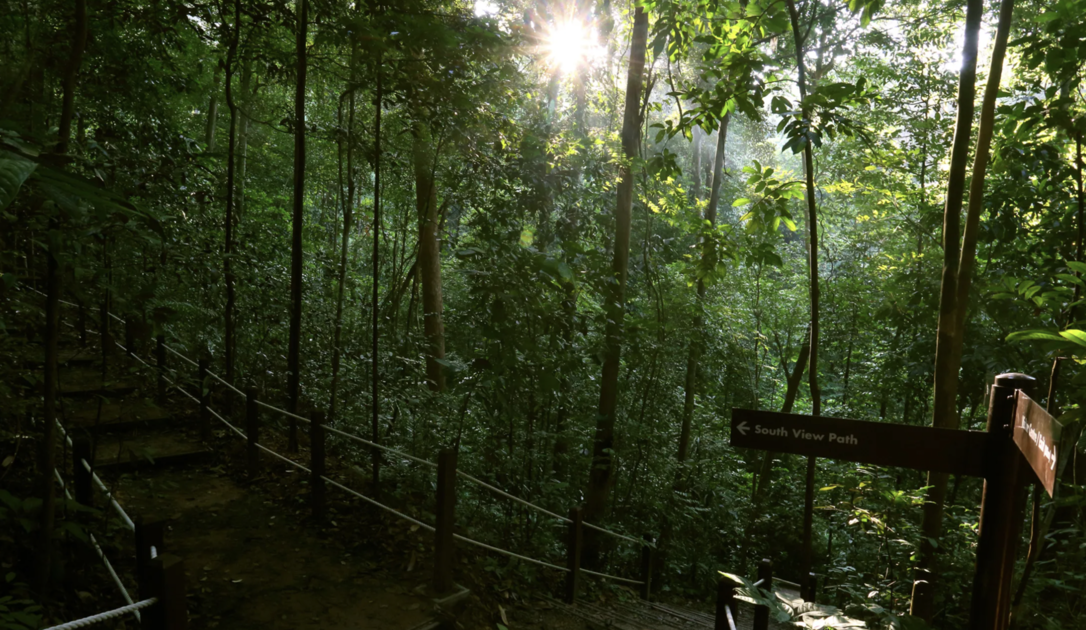 Bukit Tiban National Park