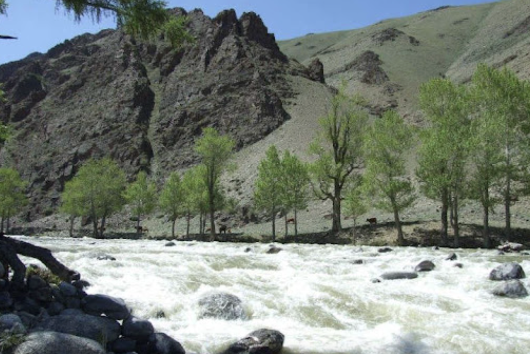 Bulgan Gol-Ikh Ongog National Park