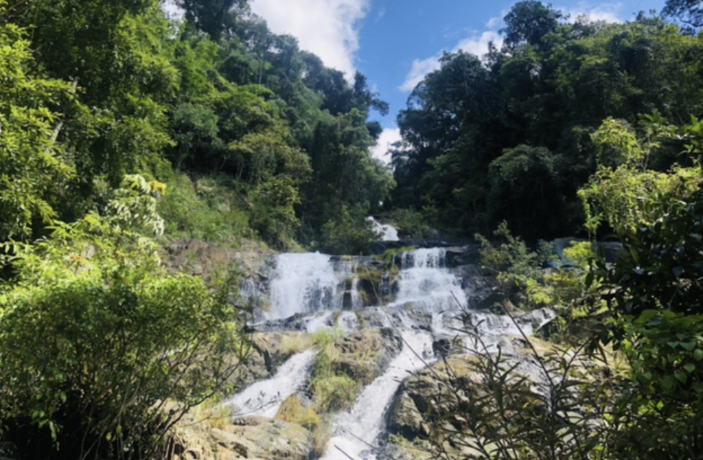 Chư Yang Sin National Park