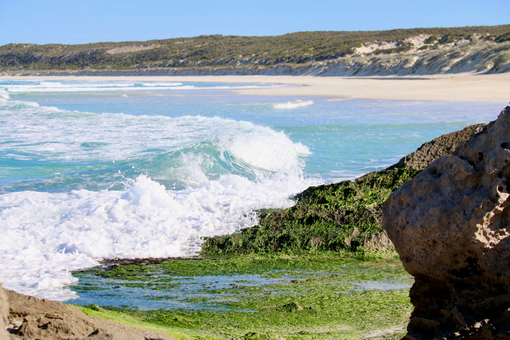 Coffin Bay National Park blue ocean beach