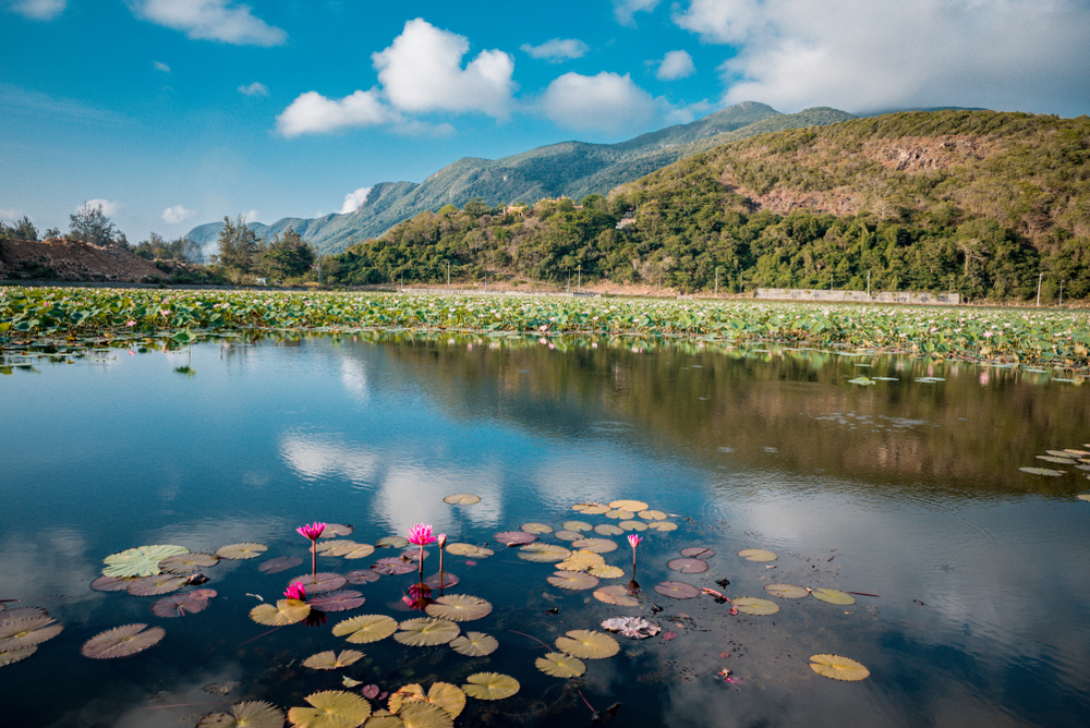 Con Dao National Park