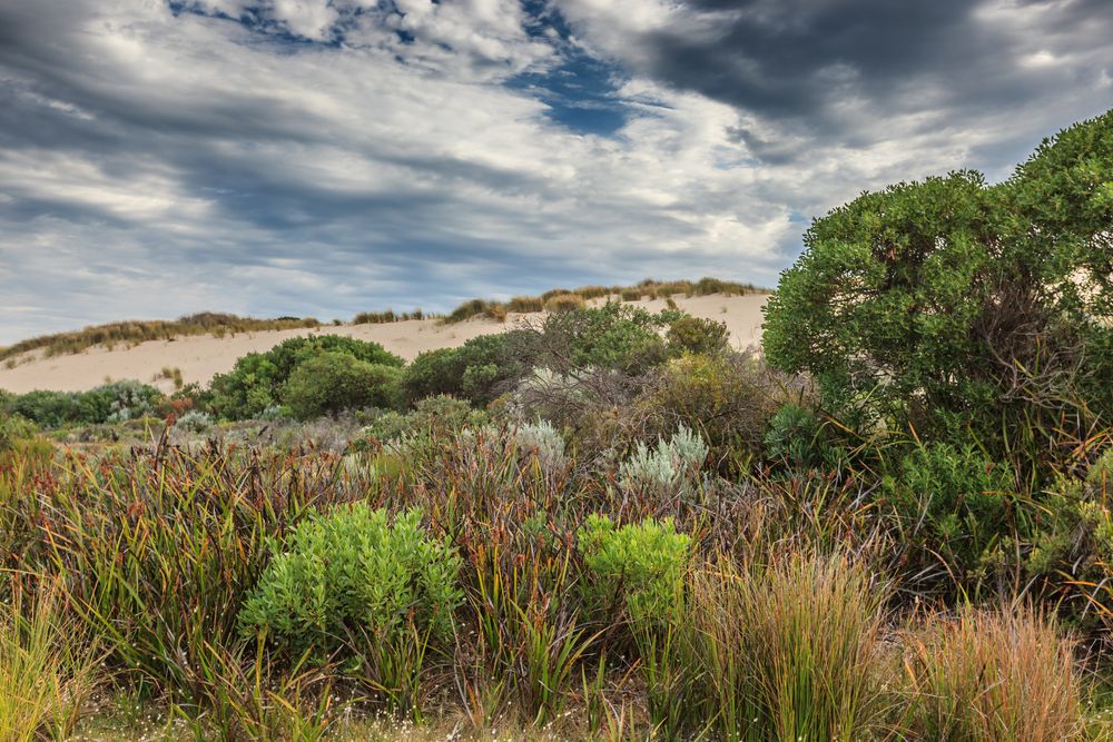 Coffin Bay National Park blue ocean beach