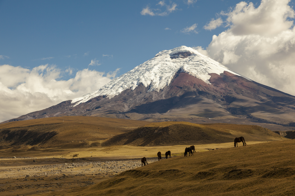 Cotopaxi National Park mountain reflection