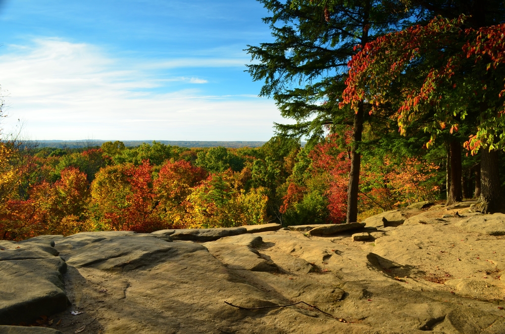 Fall foliage New River Gorge National Park