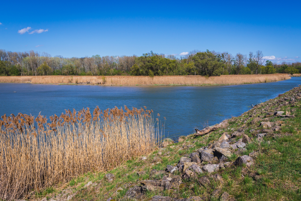 Danube-Auen National Park