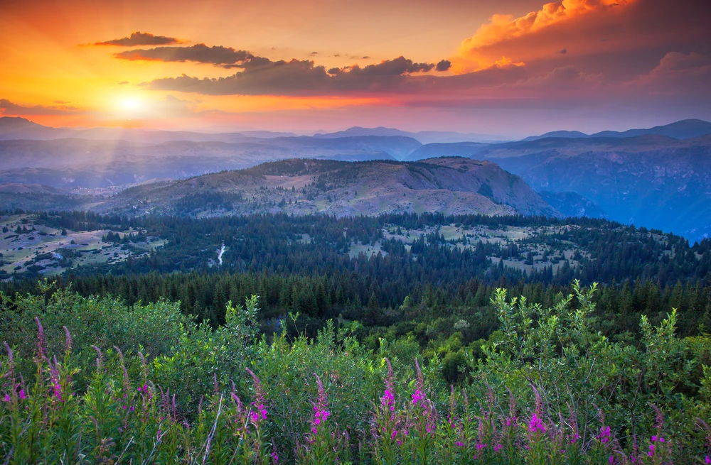 Montenegro National Park