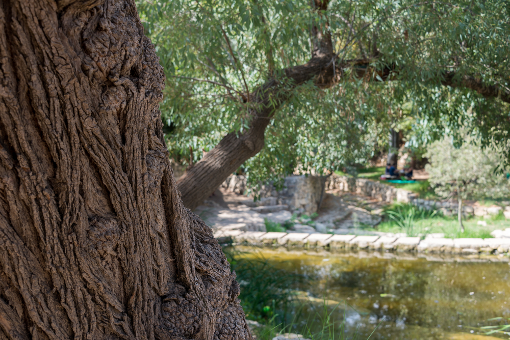 Caesarea National Park seaside city