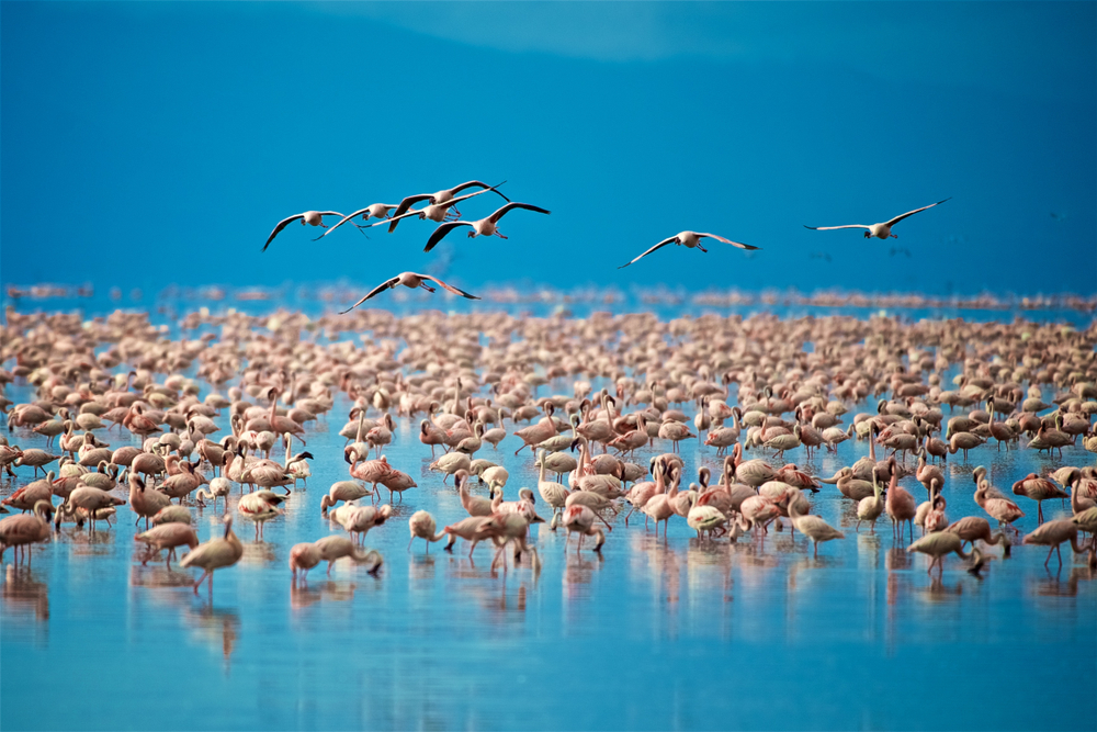 Arusha National Park