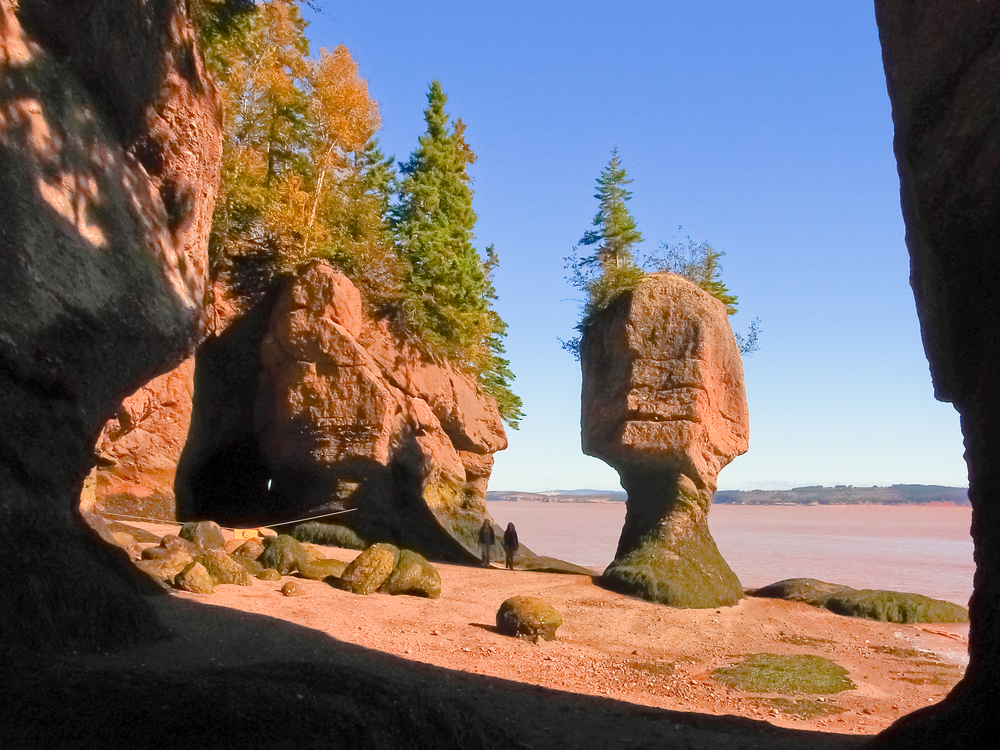 Fundy National Park hope well rocks