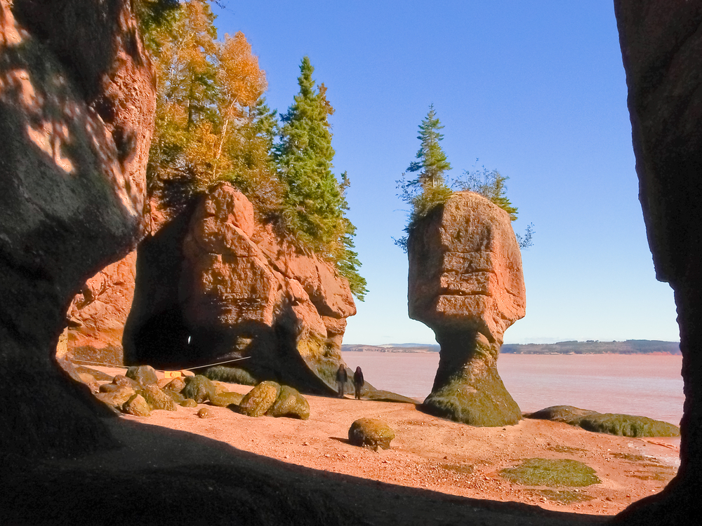 Rocky coastline of Acadia National Park