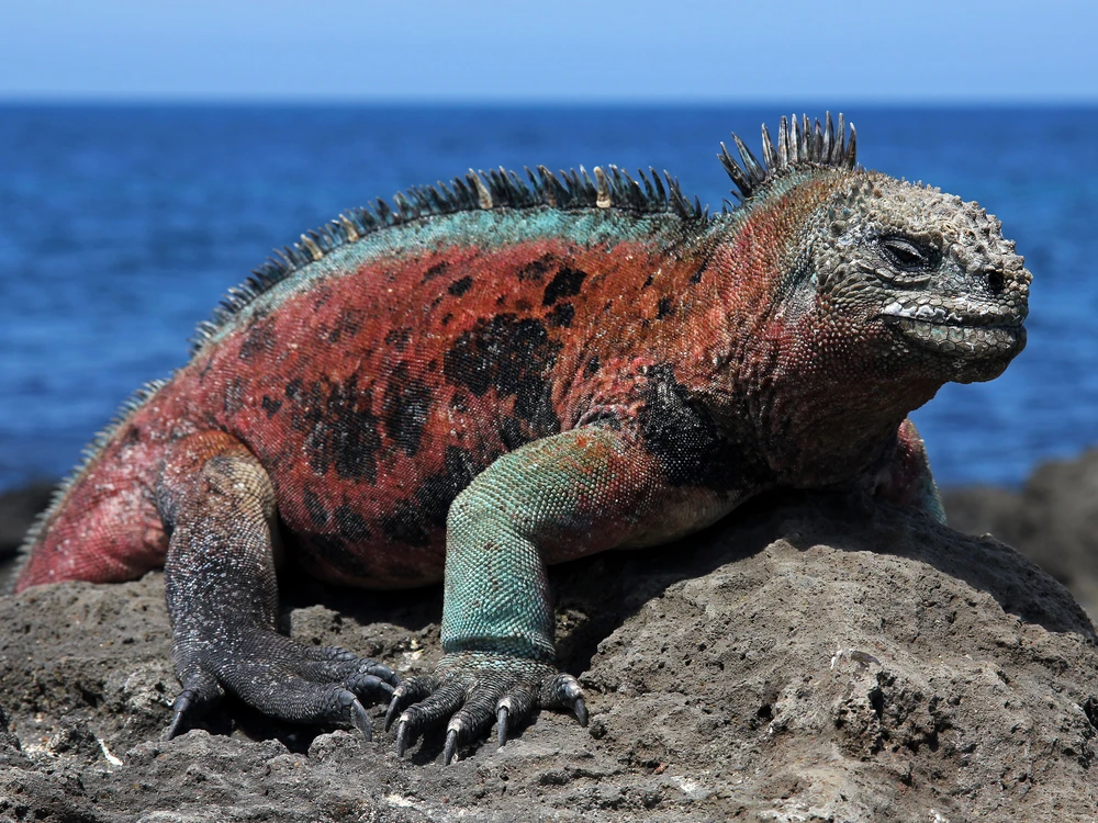 Ecuador National Parks