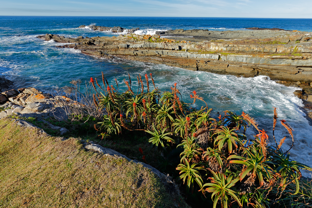 Garden Route National Park