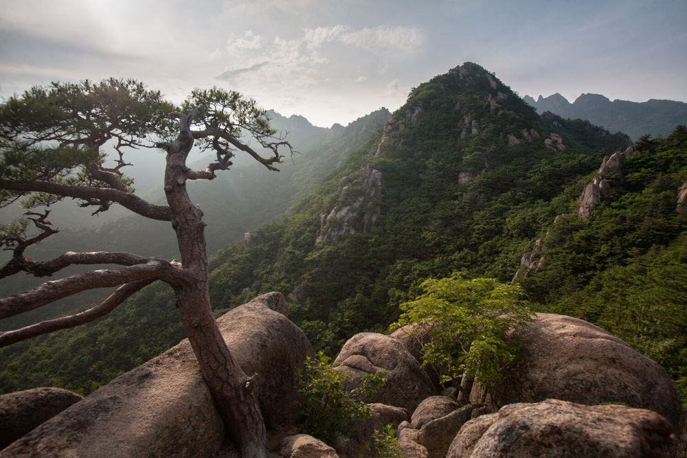 Naejangsan National Park fall foliage and reflection