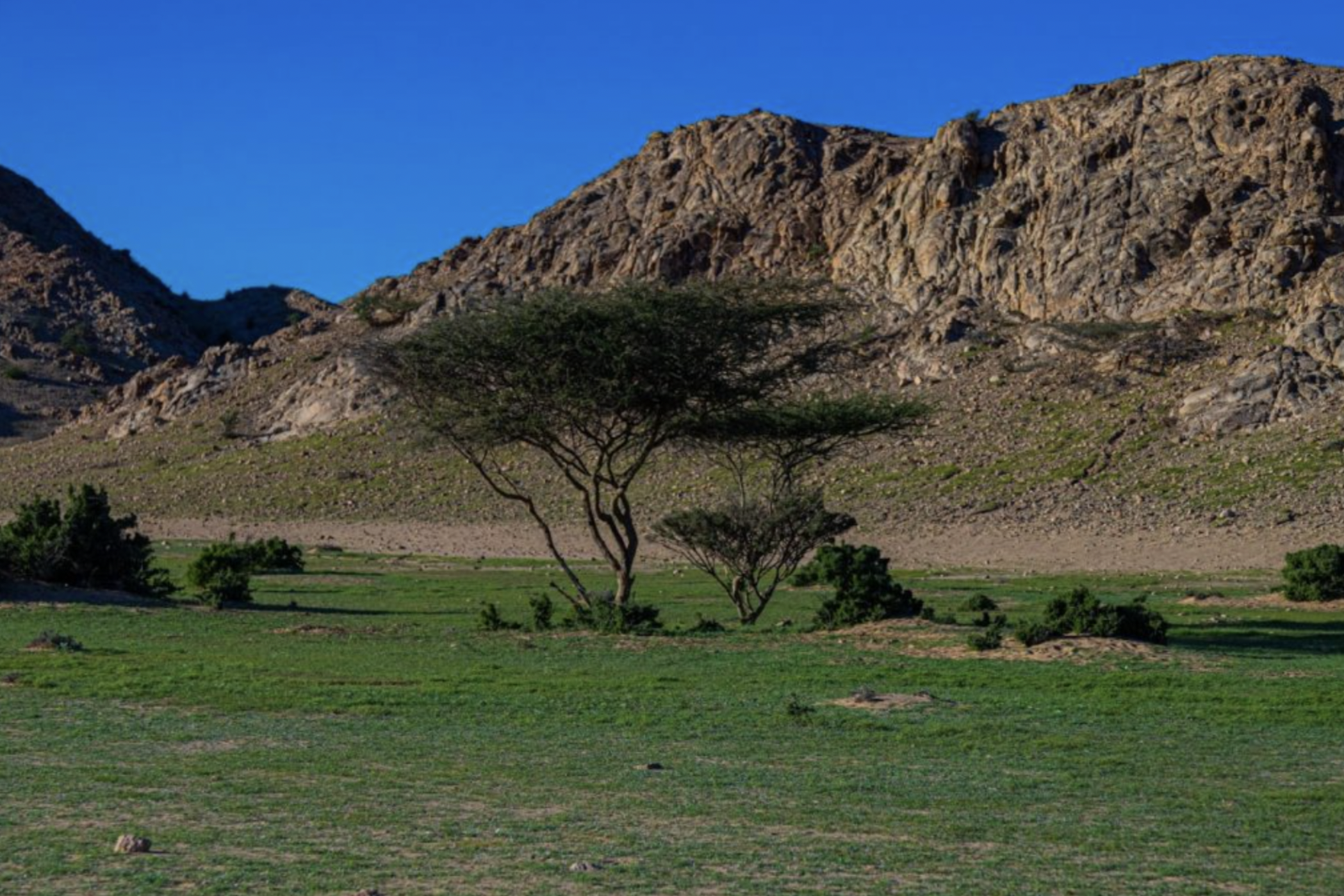 Gebel Elba National Park