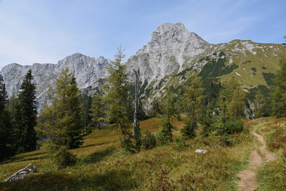 Hohe Tauern stream through valley