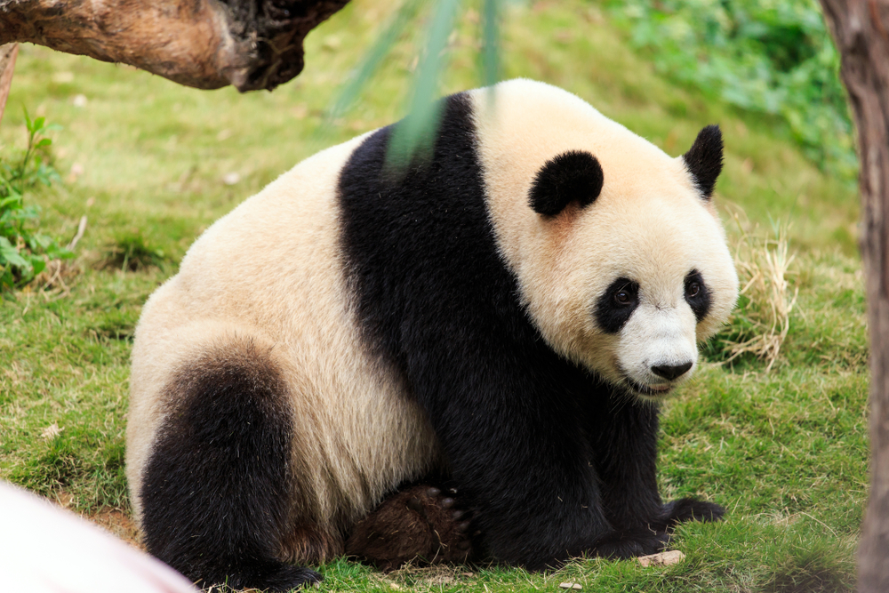 China's most colorful national park