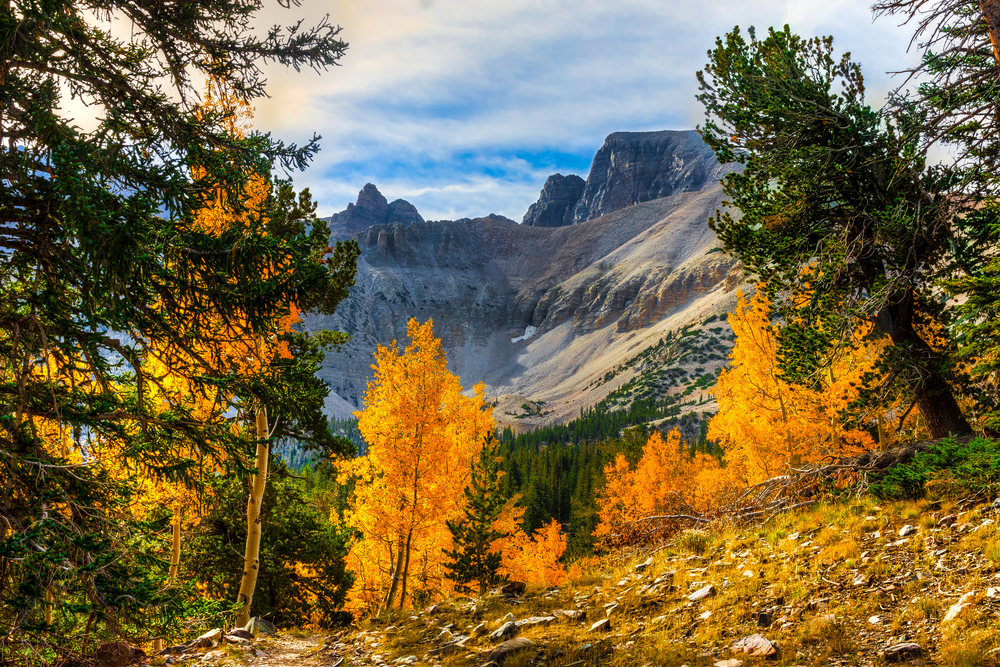 Great Basin National Park fall foliage