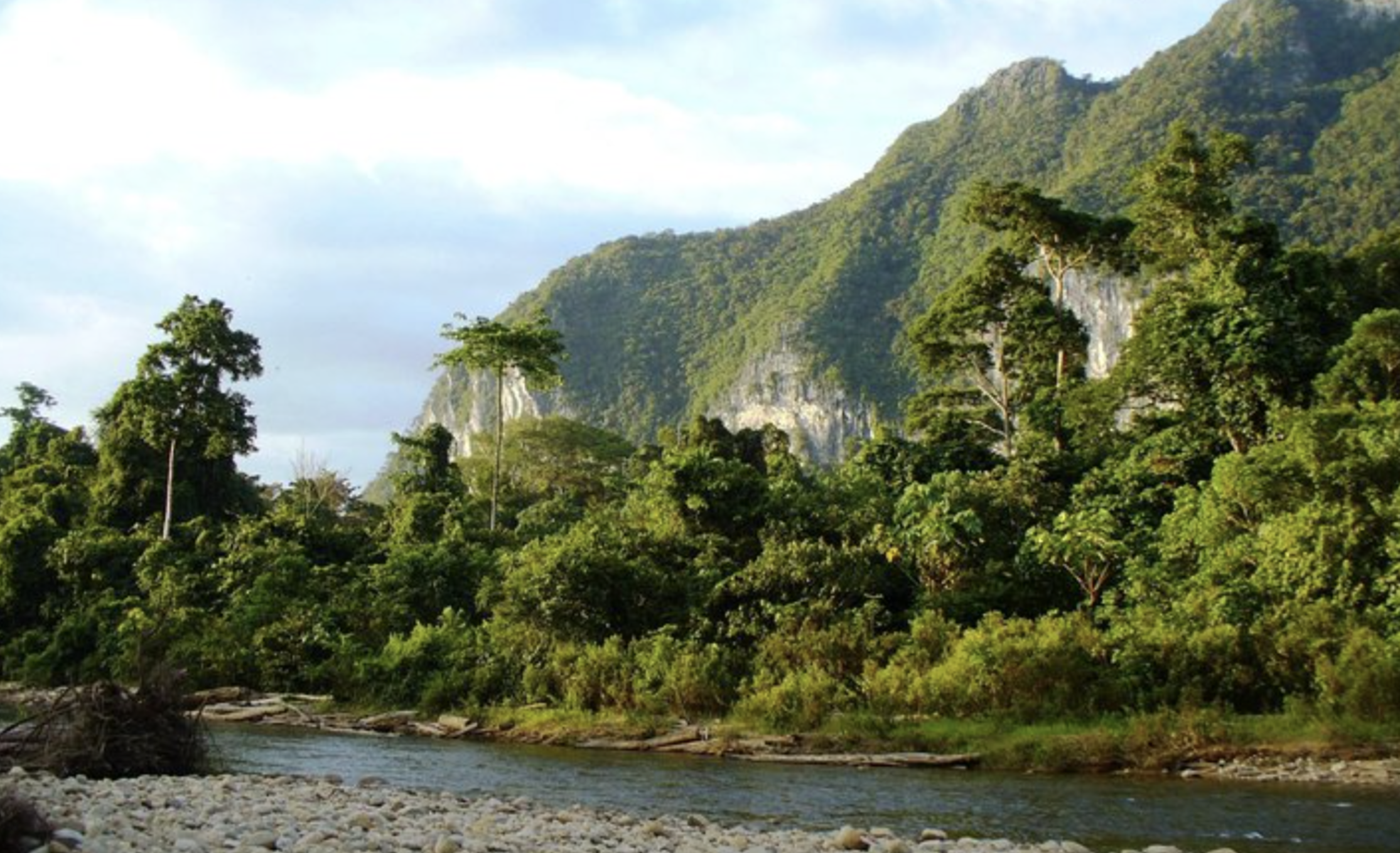 Gunung Buda National Park