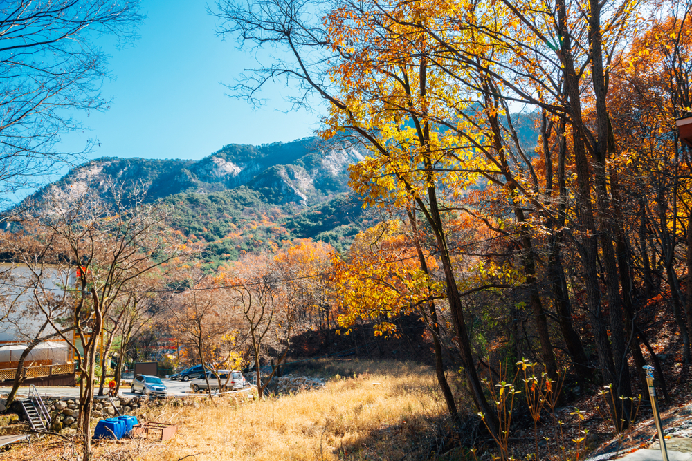 Naejangsan National Park fall foliage and reflection