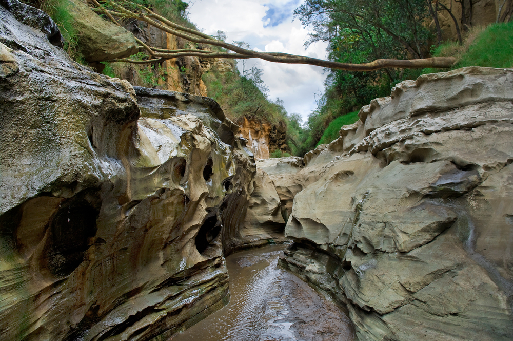 Mount Elgon National Park