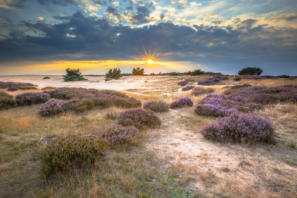 Netherlands National Park