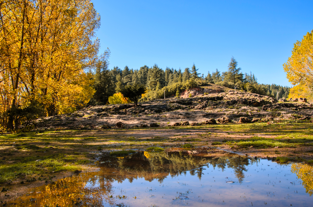 Ifrane National Park