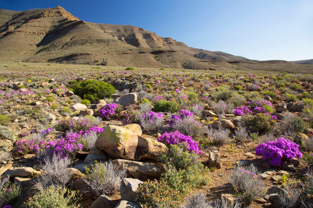 Karoo National Park