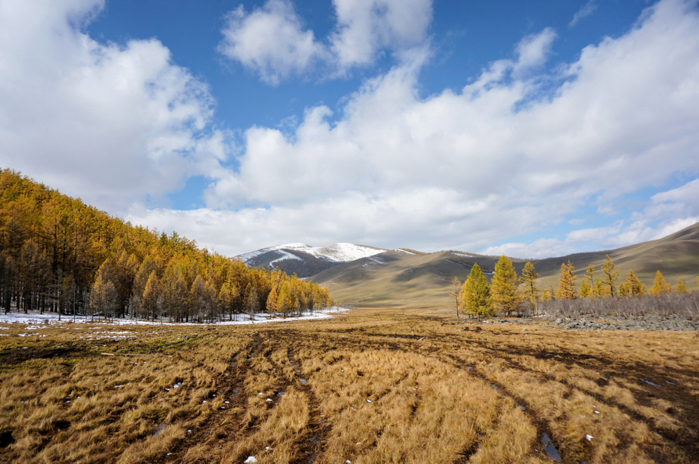 Khangai Nuruu National Park