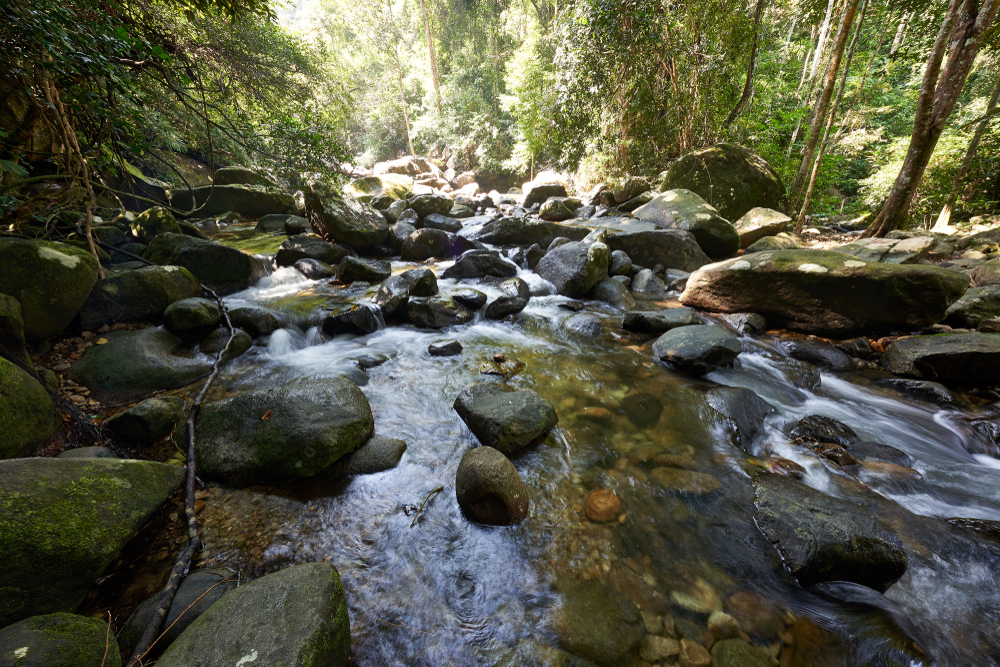 Khao Chamao-Khao Wong National Park