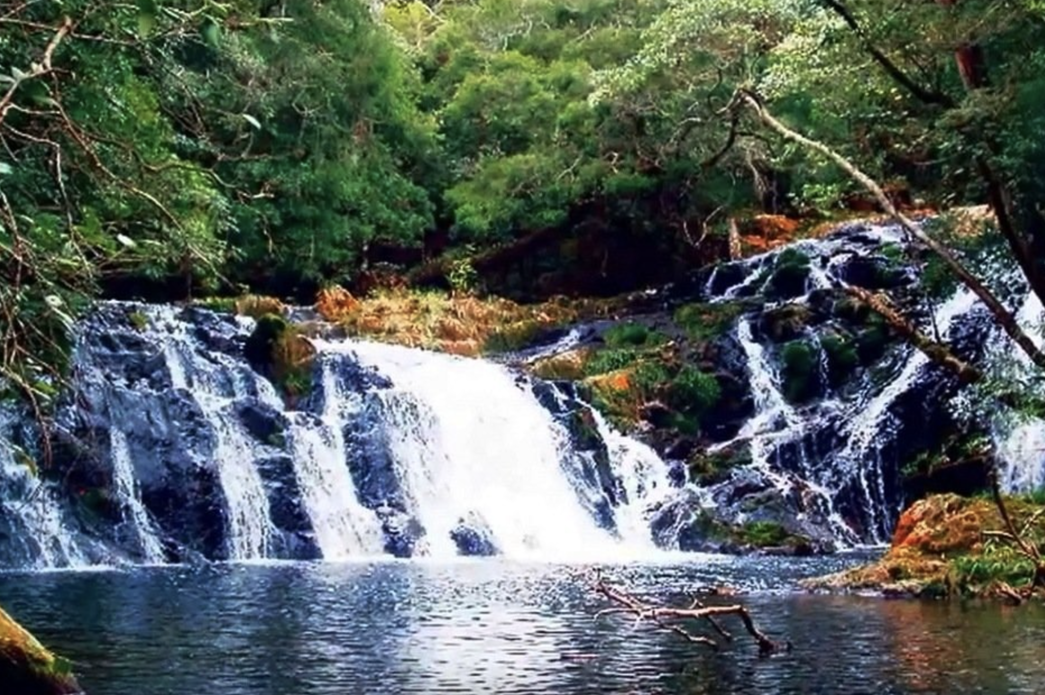 Kon Ka Kinh National Park