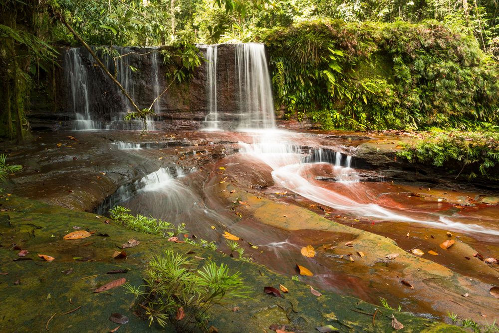 Lambir Hills National Park