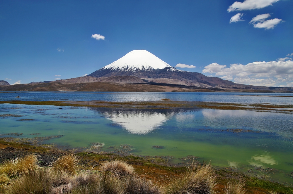 The dry Atacama Desert in Pan de Azucar National Park