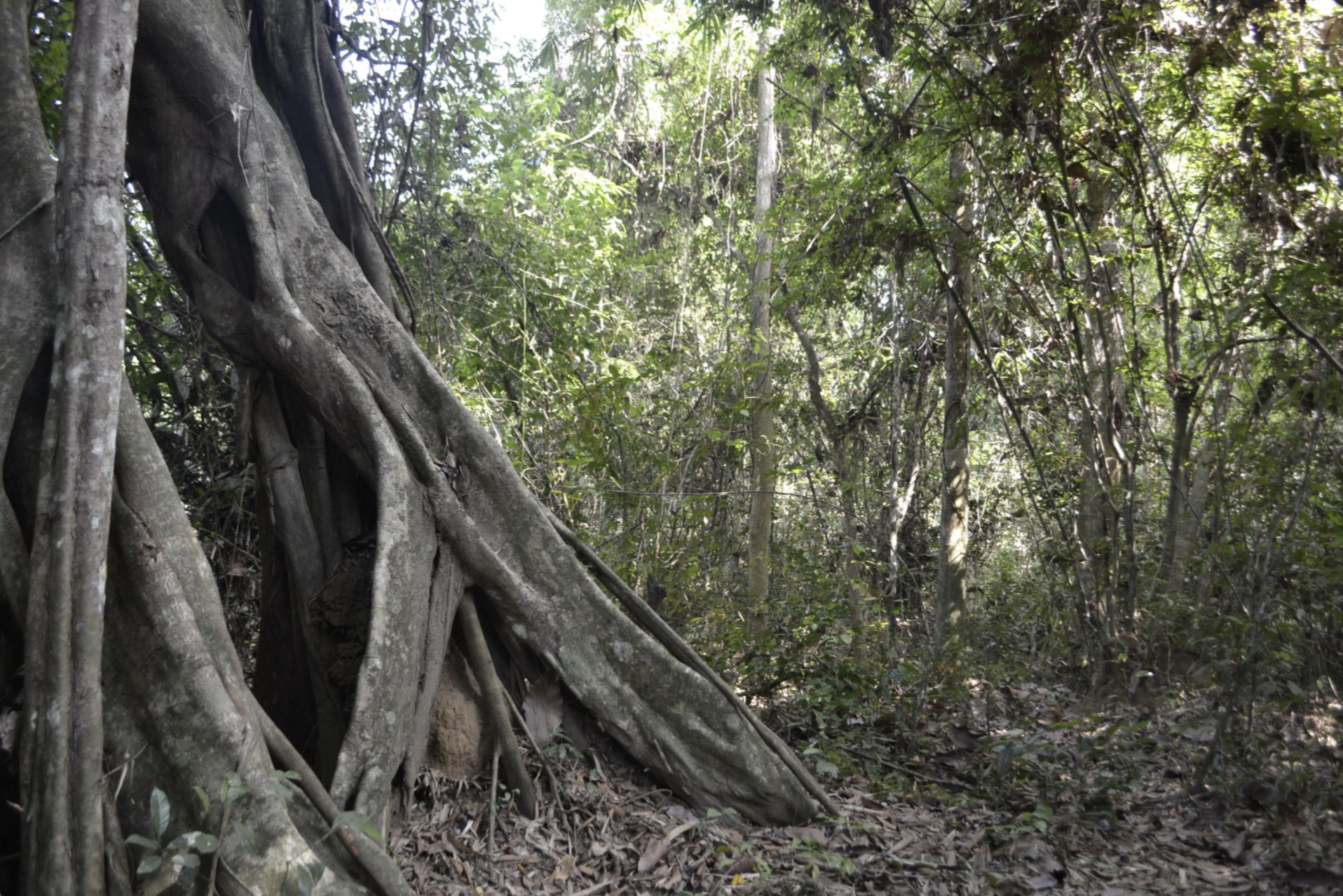 Lo Go-Xa Mat National Park